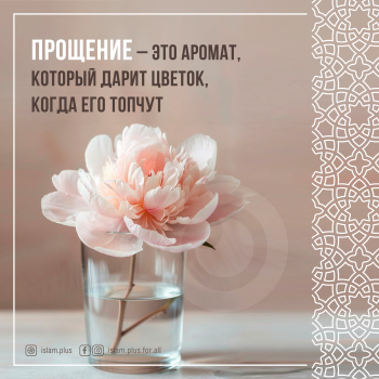 Прощение - это аромат