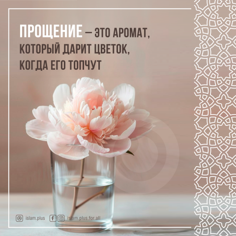 Прощение - это аромат