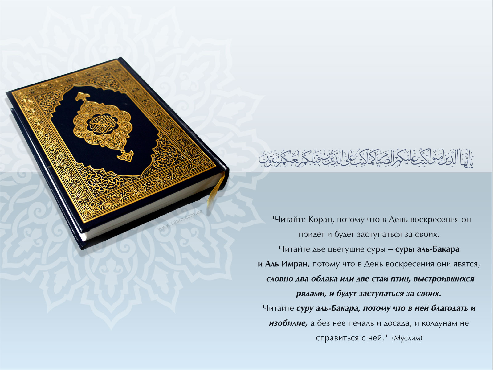 Читать коран в телефоне. Строки Корана. Аяты Корана. Суры Священного Корана. Священные строки Корана.