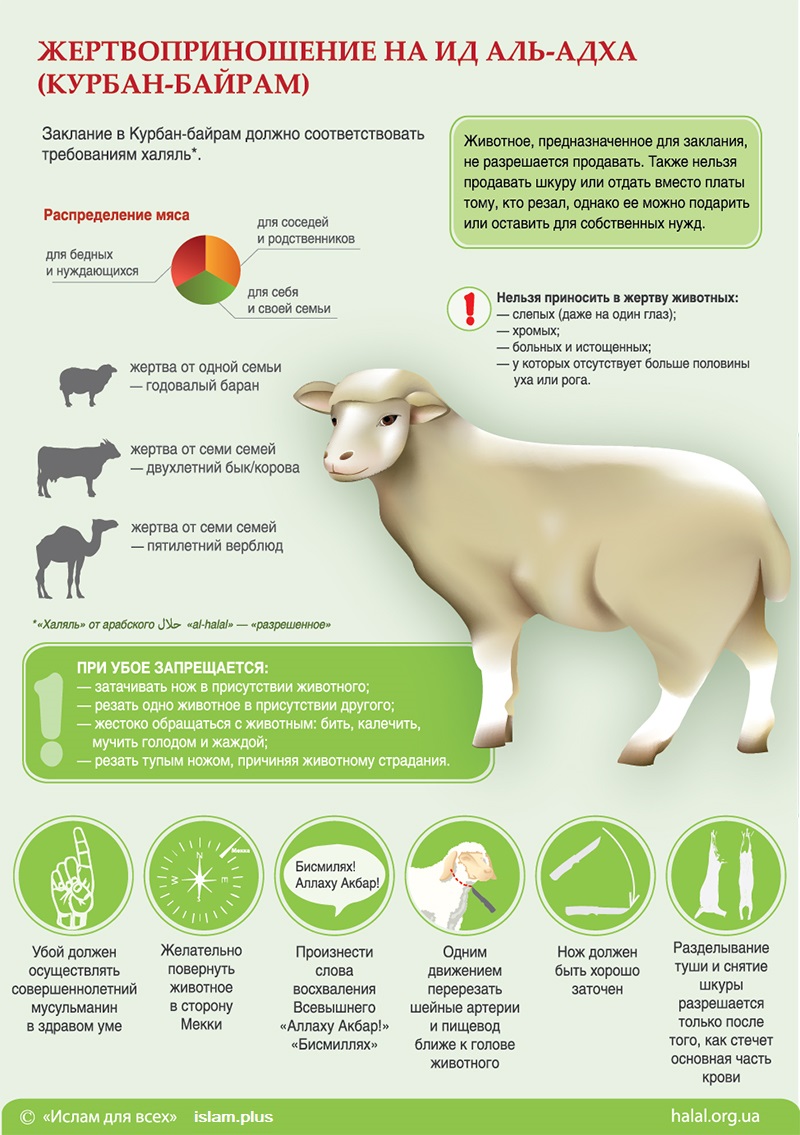 Жертвоприношение на Ид Аль-Адха