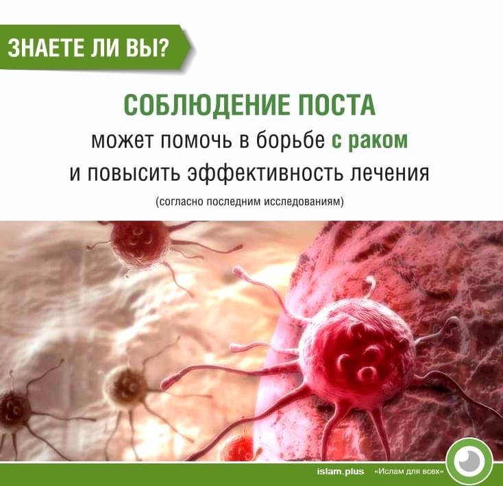 Знаете ли вы?