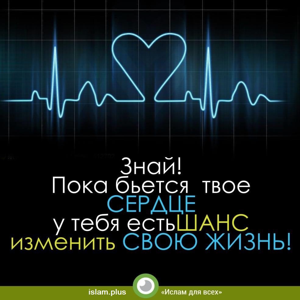 Пока бьется твое сердце, есть шанс изменить жизнь