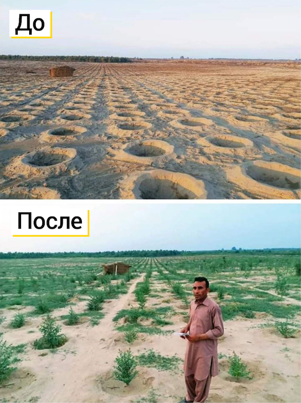 До и после