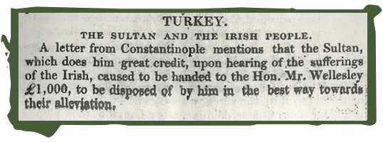 Текст газетного сообщения: «Турция. Султан и ирландский народ. В письме из Константинополя упоминается, что султан, и это делает ему большую честь, услышав о страданиях ирландцев, приказал передать достопочтенному мистеру Уэлсли 1 тысячу фунтов стерлингов, чтобы тот распорядился ими наилучшим образом для облегчения их положения».