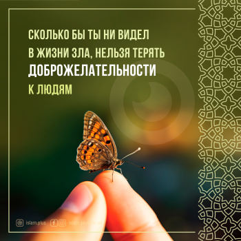 Нельзя терять доброжелательности к людям