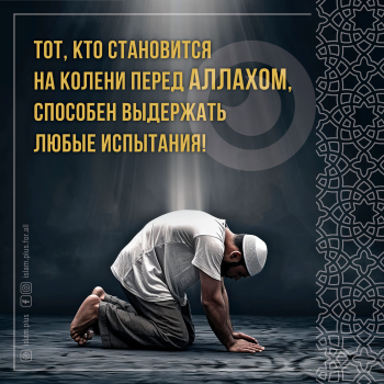 Тот, кто становится на колени перед Аллахом...