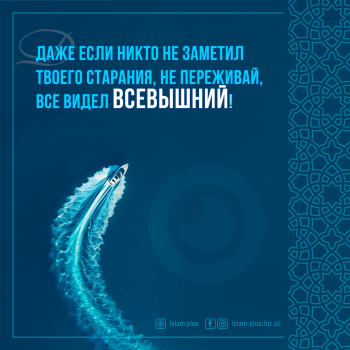 Аллах все видит