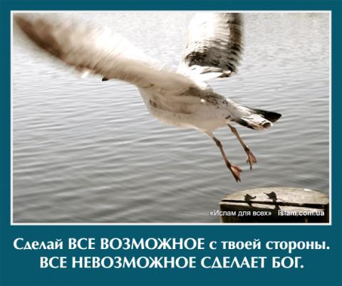 Сделай все возможное с твоей стороны, все невозможное сделает Бог