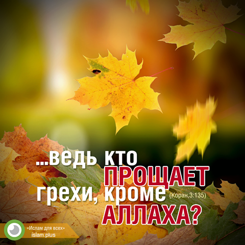 ...ведь кто прощает грехи, кроме Аллаха?