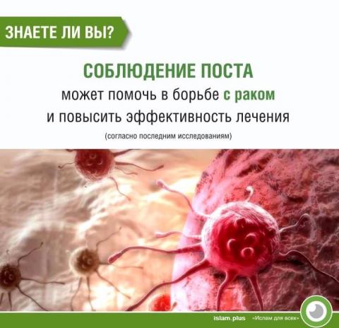 Знаете ли вы?