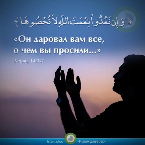 «Он даровал вам все, о чем вы просили...»