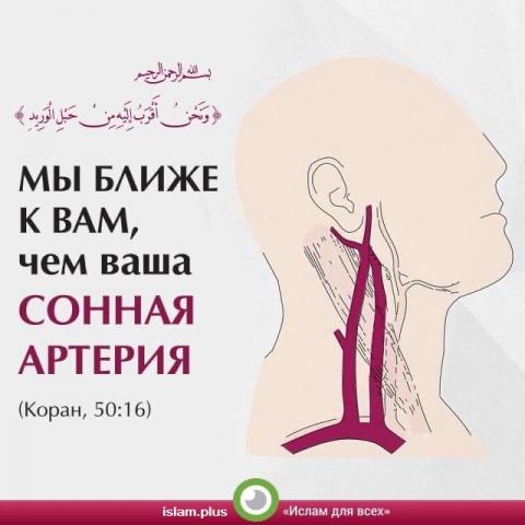 «Мы ближе к вам, чем ваша сонная артерия»