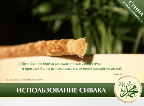 Использование сивака – сунна