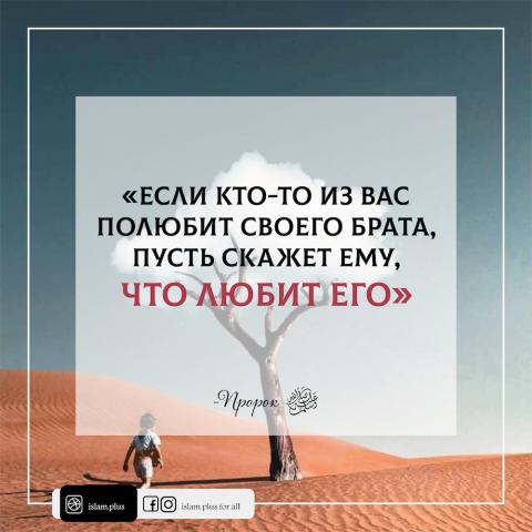 О любви к брату по вере