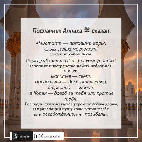 Чистота — половина веры