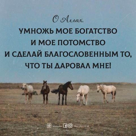 О Аллах! Умножь мое богатство