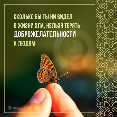 Нельзя терять доброжелательности к людям