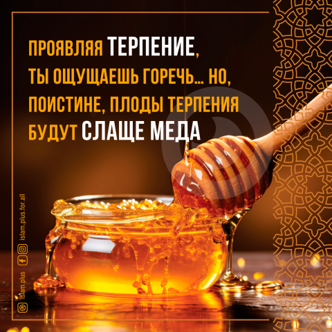 Проявляя терпение, ты ощущаешь горечь...