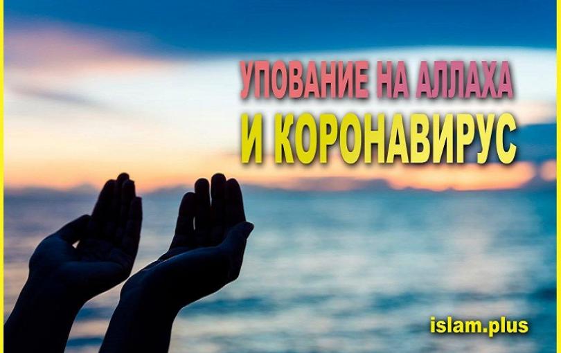 Истинное и ложное упование на Всевышнего