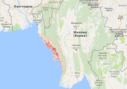 Трагедия мусульман-рохинья: что скрывается за последней вспышкой насилия?