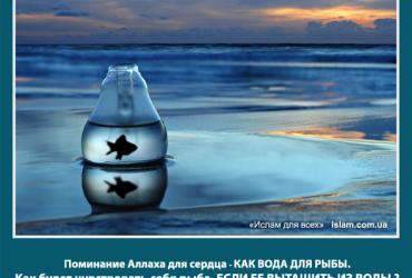 Поминание Аллаха для сердца - как вода для рыбы