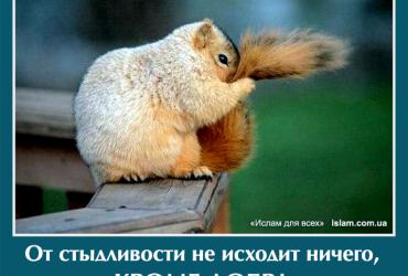 От стыдливости не исходит ничего, кроме добра