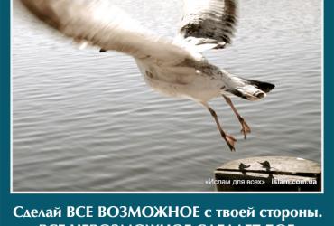 Сделай все возможное с твоей стороны, все невозможное сделает Бог