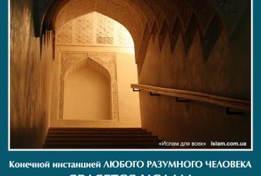 Конечной инстанцией любого разумного человека является Ислам