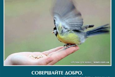 Совершай добро, это может стать причиной вашего спасения