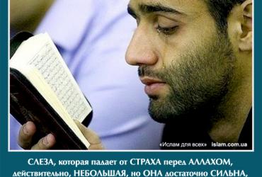 Слеза, которая падает от страха перед Аллахом, действительно, небольшая, но она достаточно сильна, чтобы удалить грехи, размером с океан