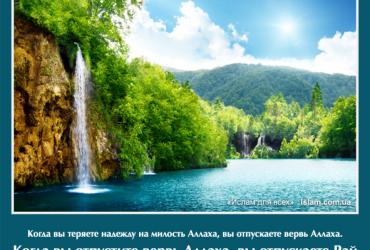 Когда вы отпустите вервь Аллаха, вы отпускаете Рай