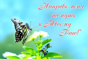 «О Аллах! Направь меня на путь к Твоему Раю!»