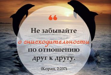 «Не забывайте о снисходительности...»