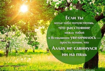 Аллах не отдаляется
