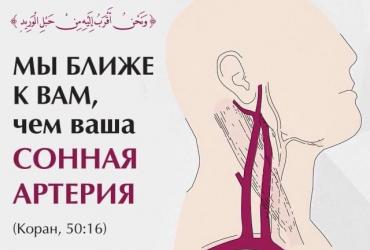 «Мы ближе к вам, чем ваша сонная артерия»