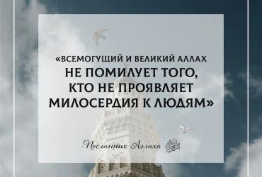 Аллах не помилует того, кто не проявляет милосердия к людям